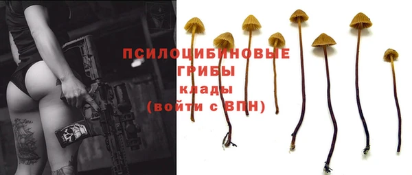 mix Новодвинск