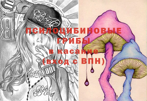 таблы Няндома