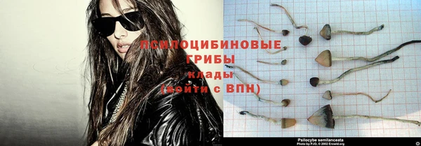 таблы Няндома