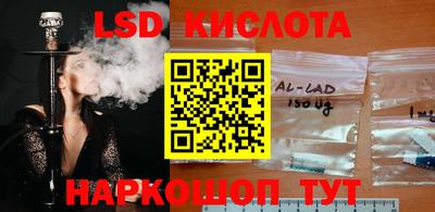 PSILOCYBIN Канаш