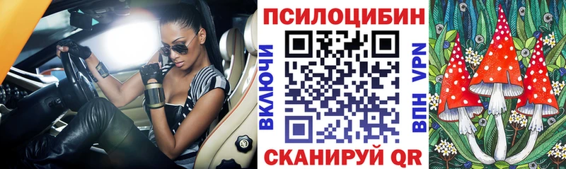Галлюциногенные грибы Magic Shrooms  сколько стоит  Тосно 