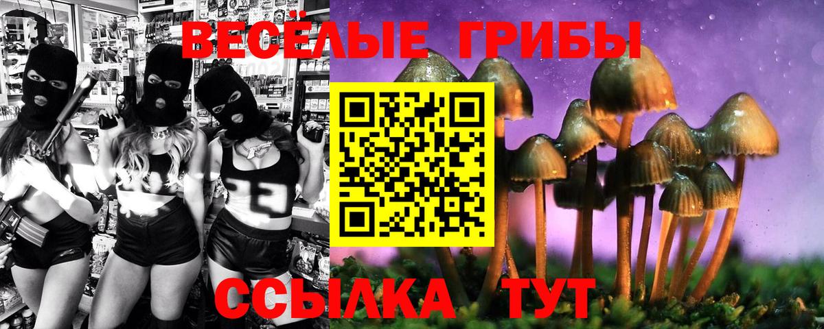 Псилоцибиновые грибы GOLDEN TEACHER  Псилоцибиновые грибы MAGIC MUSHROOMS  Тосно  Вход с VPN 