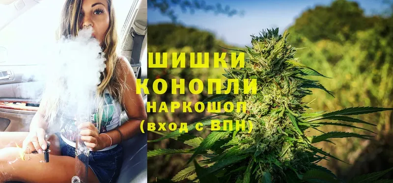 Конопля White Widow  Тосно 